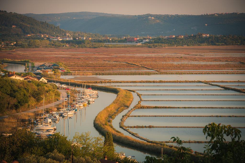 Apartma Seca Portorož Buitenkant foto